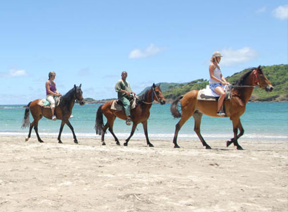 Horseriding in Antigua