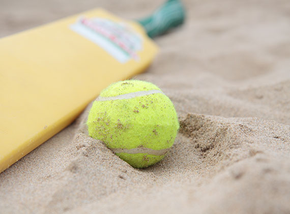 Cricket on the beach