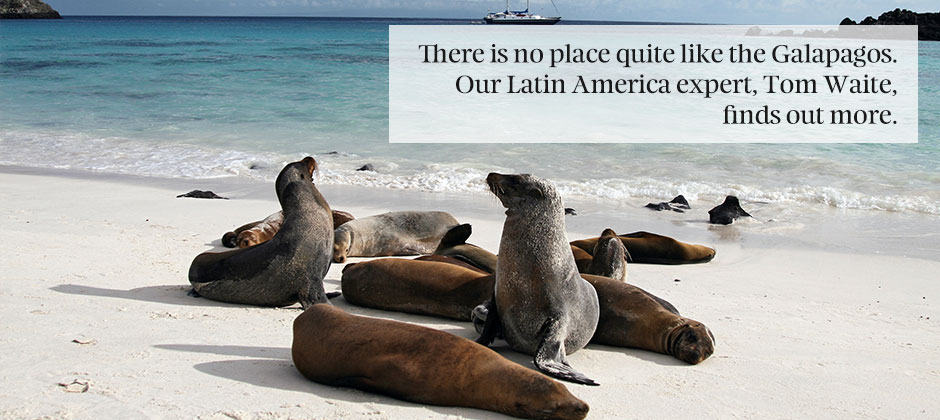 A zoologist’s guide to the Galapagos