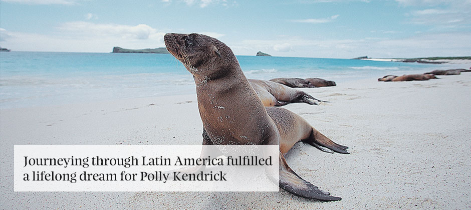 Journey of a lifetime through Latin America