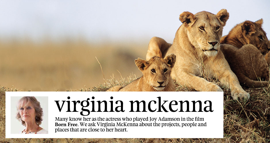 Interview: Virginia McKenna
