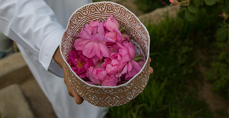 Make rose water in Oman