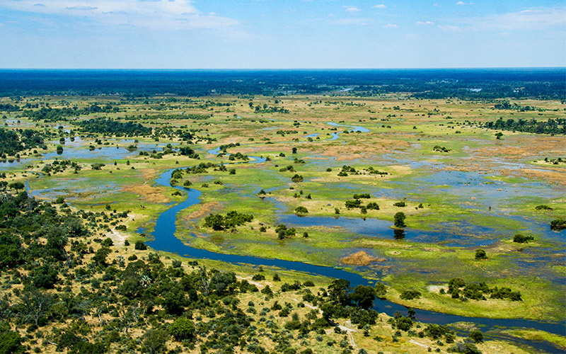 The Okvango Delta, Botswana