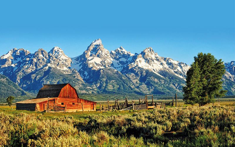 Bighorn Mountians