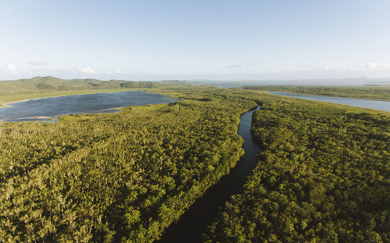 Noosa Everglades