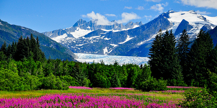 Mendenhall Glacier Viewpoint, Alaska