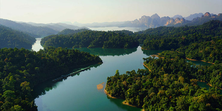 Floating Rainforest Camp