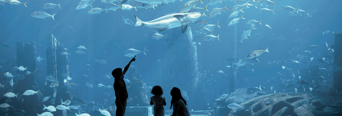 Amazing family holidays your children will never forget