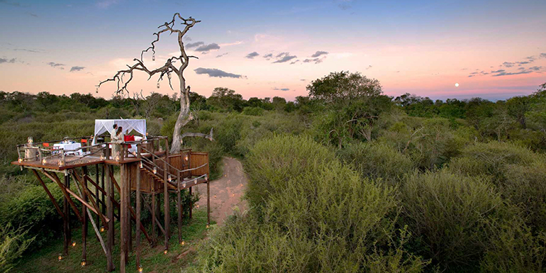 Treehouse at Lion Sands, South Africa Treehouse at Lion Sands, South Africa