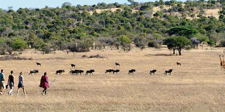 Porini Wilderness Safari