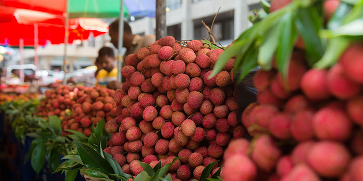 Selling fresh lychees in Port Louis market