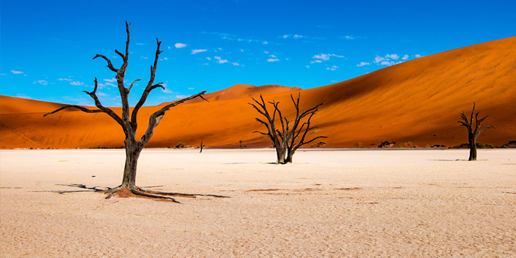 Famous salt pan of Sossusvlei