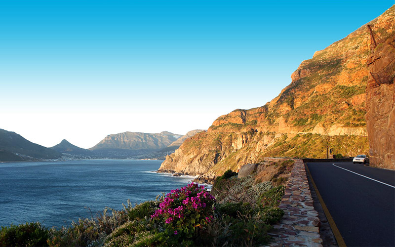 Chapman's peak drive