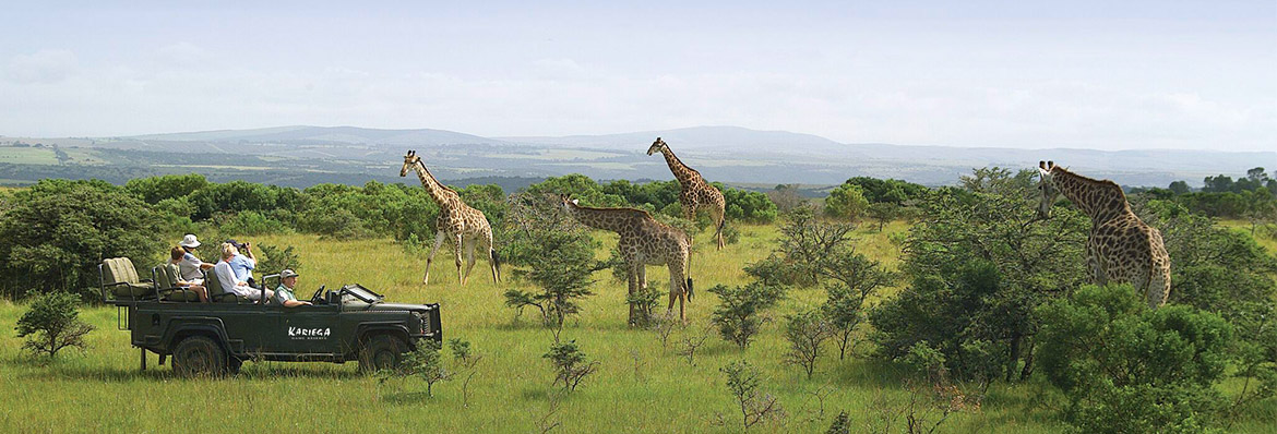 Where to go on a South Africa self-drive