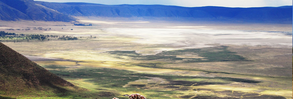 6 wild things to do on a Tanzania safari