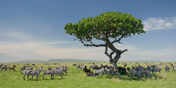 Serengeti National Park