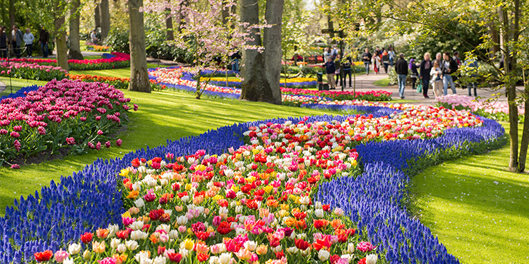 Keukenhof, Holland