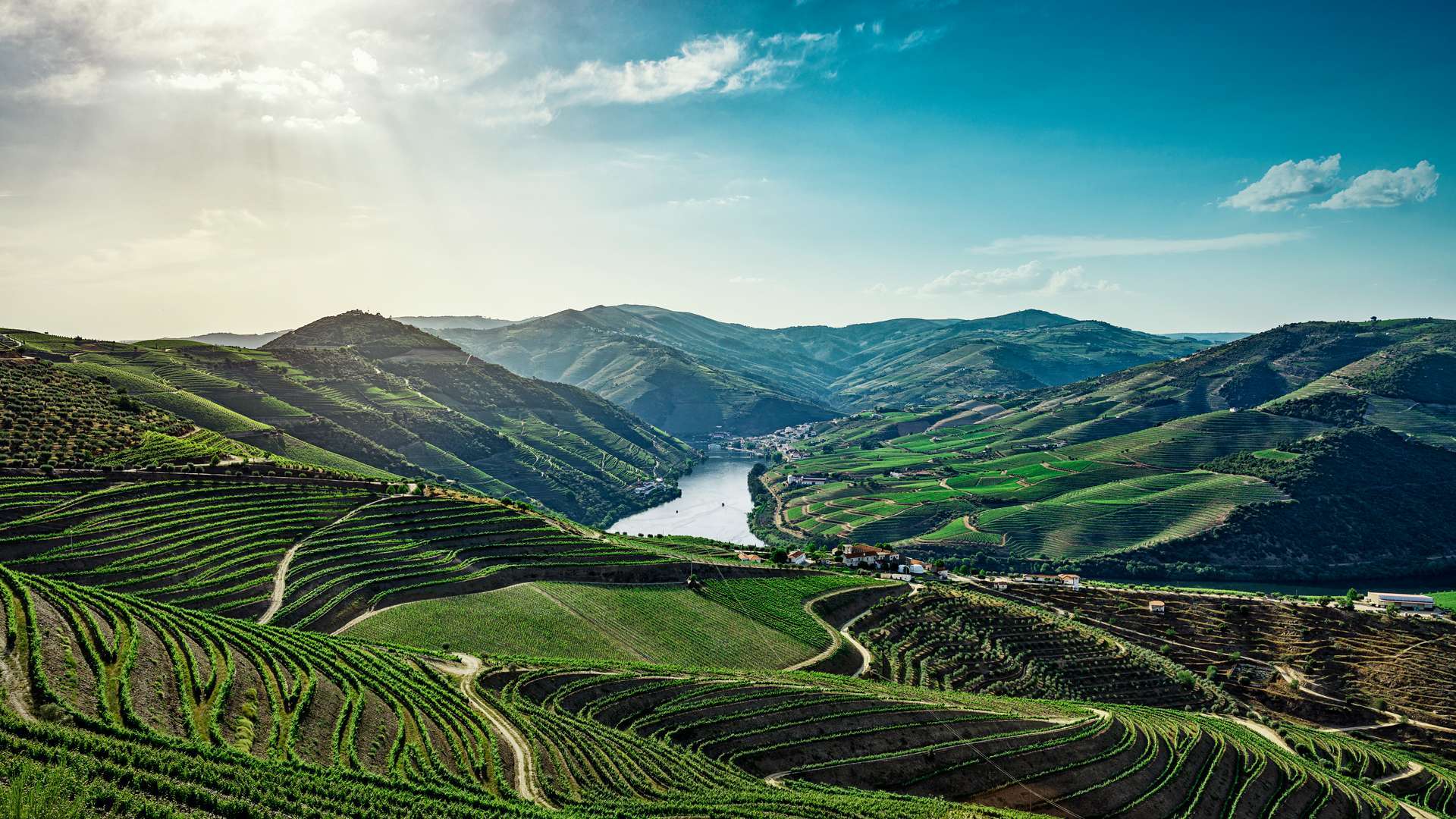 Douro Valley