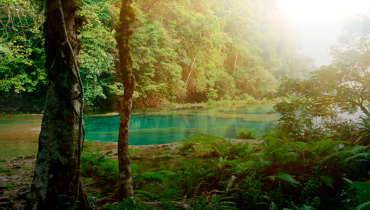 Sign up to our newsletter