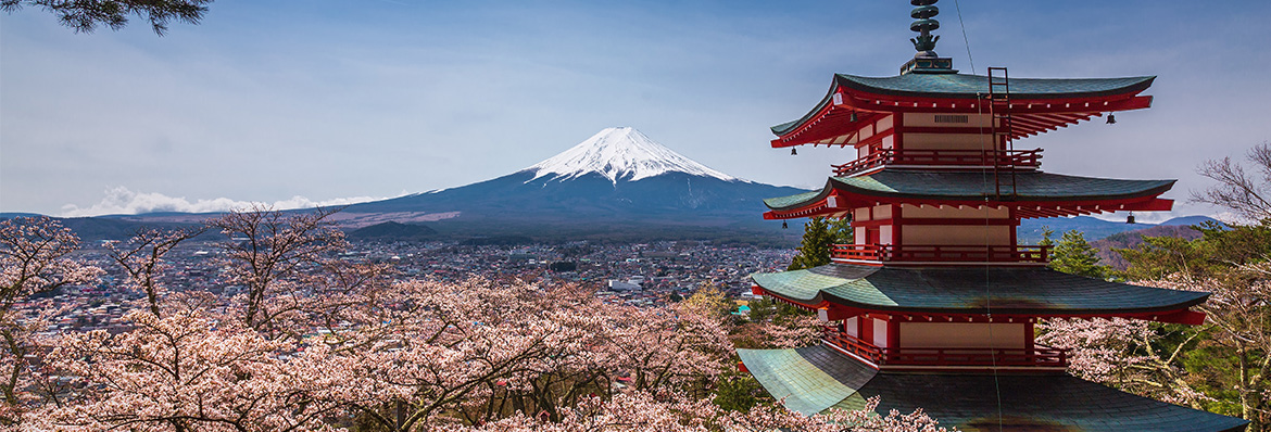 Where are the hottest new travel destinations for 2019?