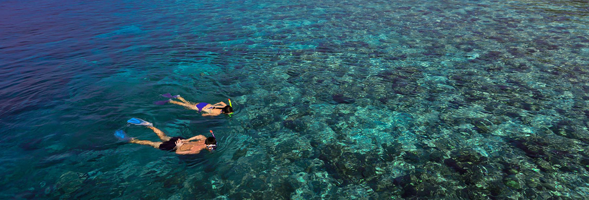 Why learning holidays are booming