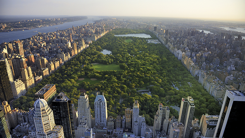 central park new york