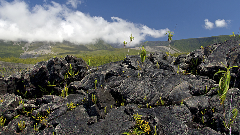 lava tunnels la reunion