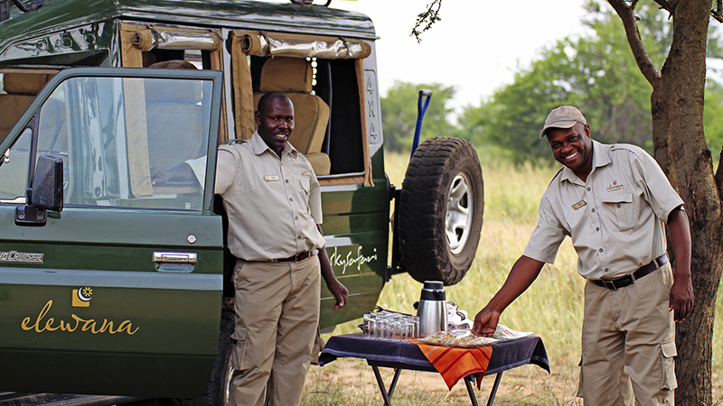 African Safari Guide
