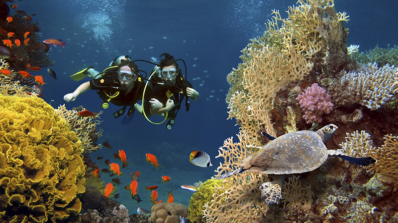 Constance Diving Maldives