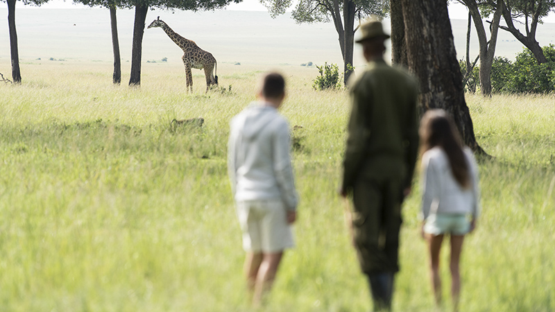 Governors Walking Safari