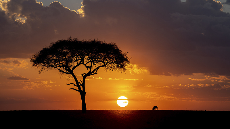 Sunset Masaai Mara