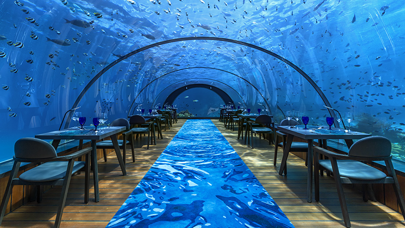 Undersea Restaurant Hurawalhi Maldives