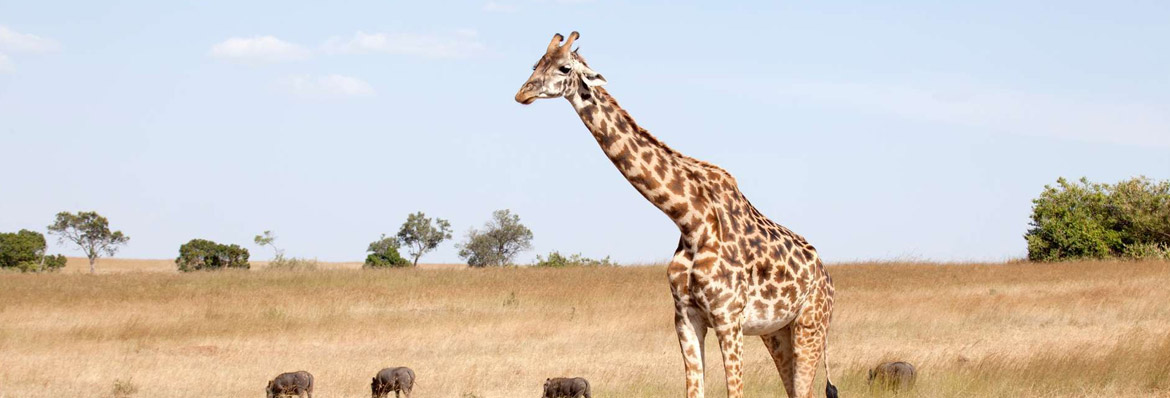 Kenya all inclusive holidays