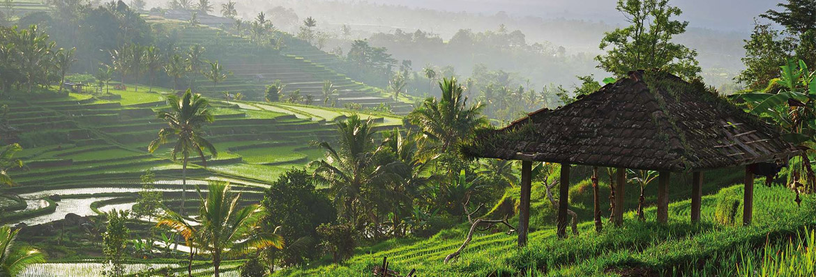 Luxury holidays in Indonesia