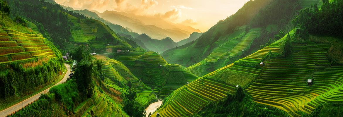 Vietnam multi-centres