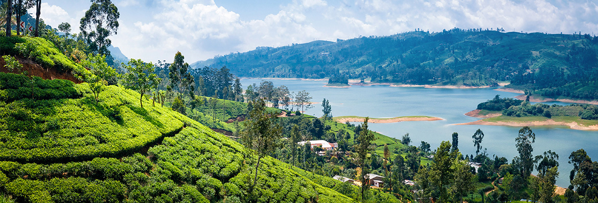 Demand for long-haul holidays up as travellers look beyond Europe for this year’s big trip