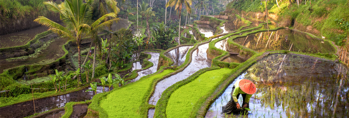 Kuoni on first name terms with Asia as it launches new sub-brand Alfred& by Kuoni
