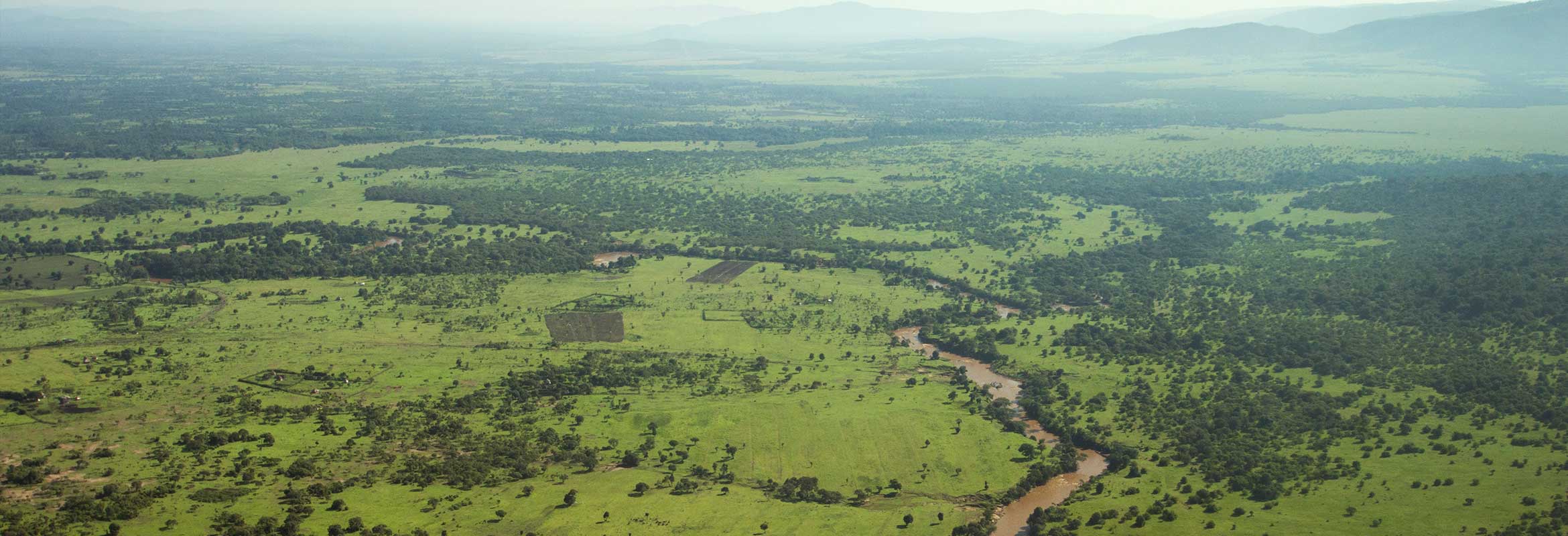 Fly-in safaris