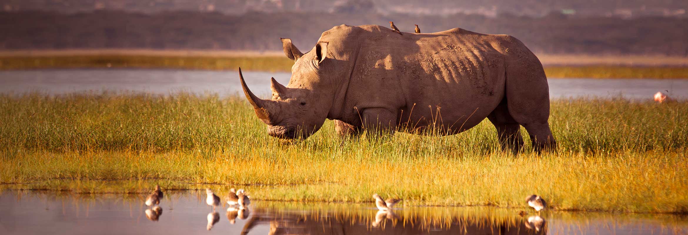 Malaria free safaris