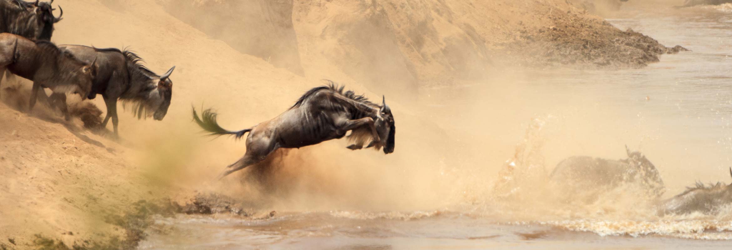 The Great Wildebeest Migration