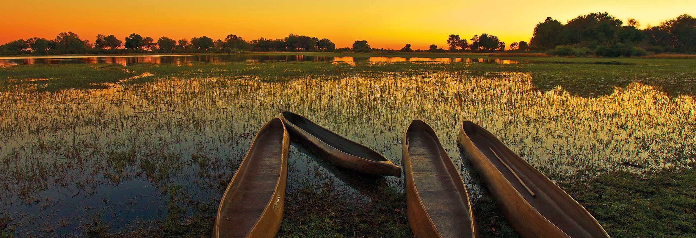 Water based safaris