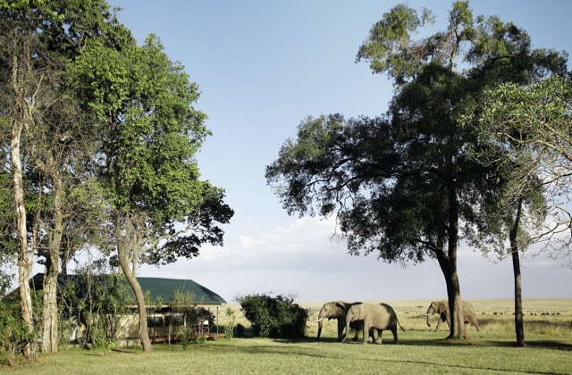 Governors’ Safari