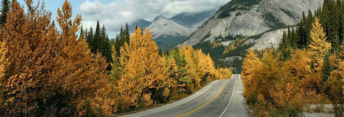 Canada self-drives