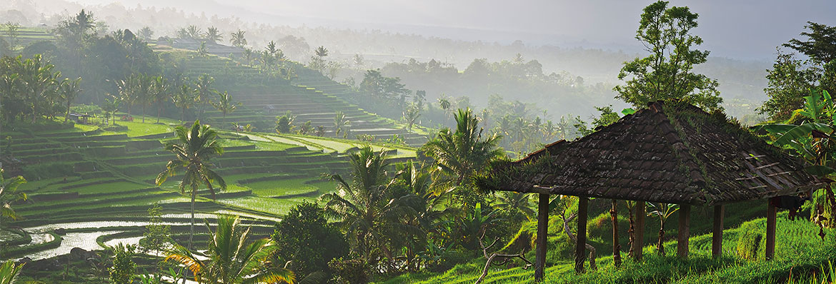 Bali weddings