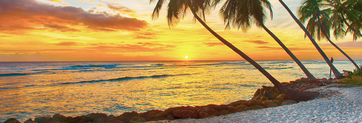 Barbados Wedding Packages Getting Married In Barbados