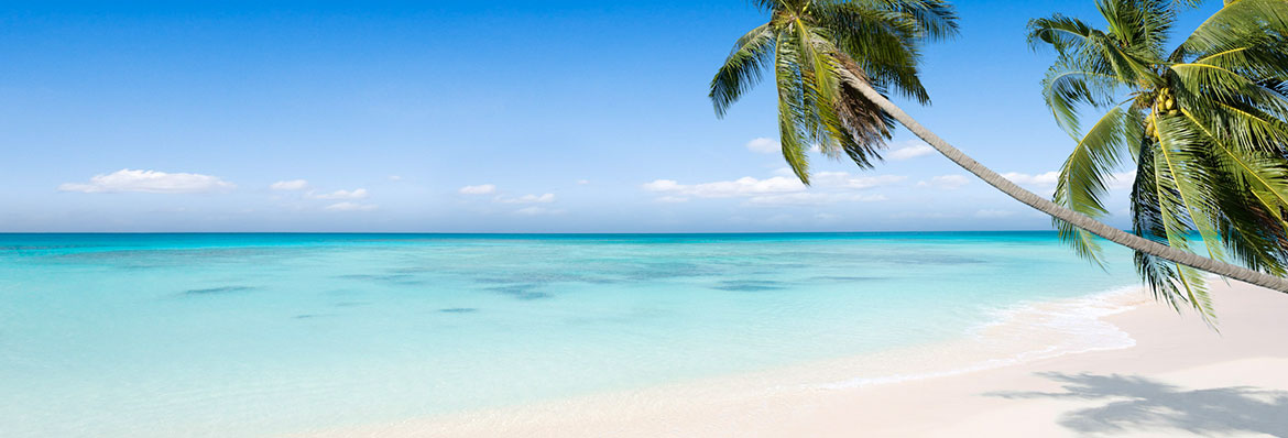 Caribbean Wedding Packages Getting Married In The Caribbean