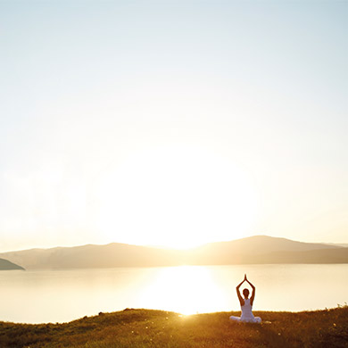 Wellness Wellness